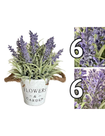 PIANTA FLOWEReGARDEN LAVANDA 23,5 CENTIMETRI