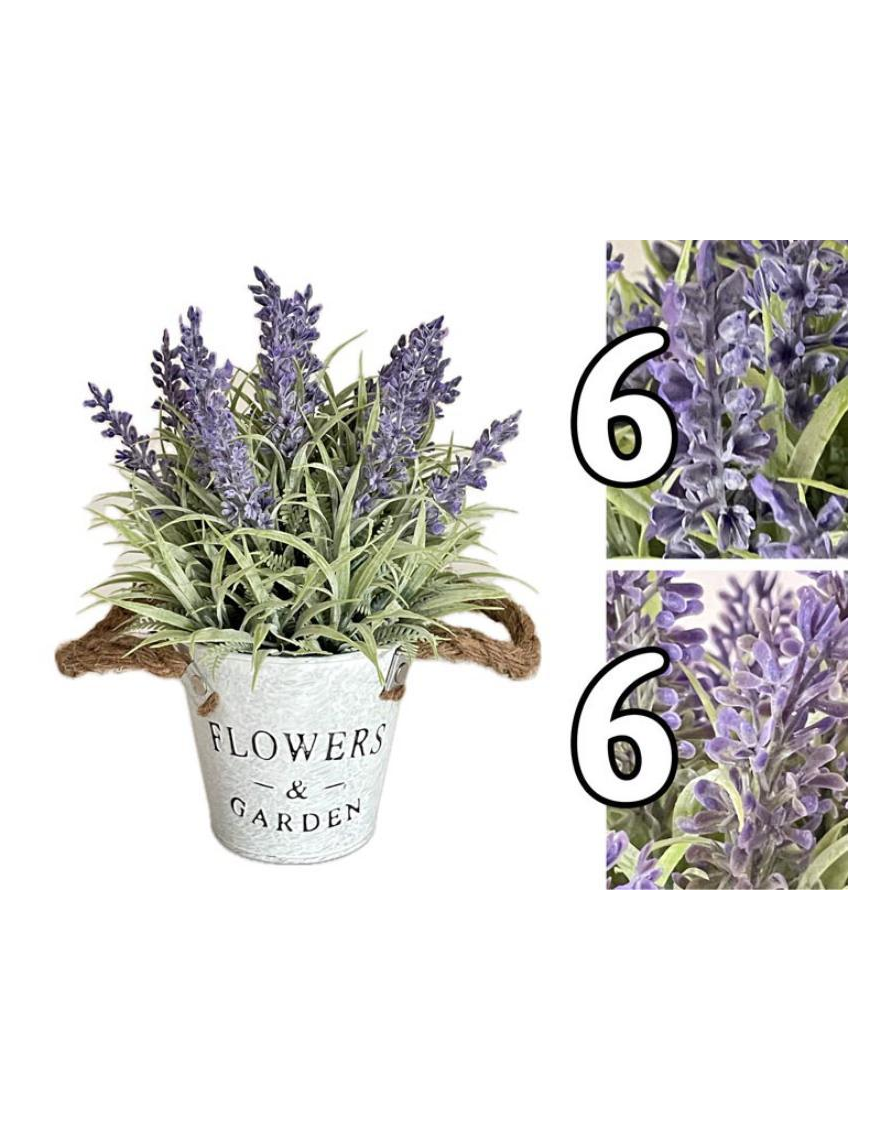 PIANTA FLOWEReGARDEN LAVANDA 23,5 CENTIMETRI