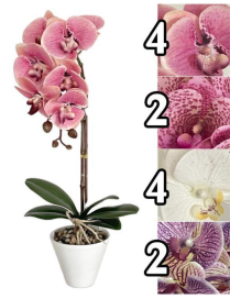 PIANTA ARTIFICIALE  ORCHIDEA NOBLE 44cm