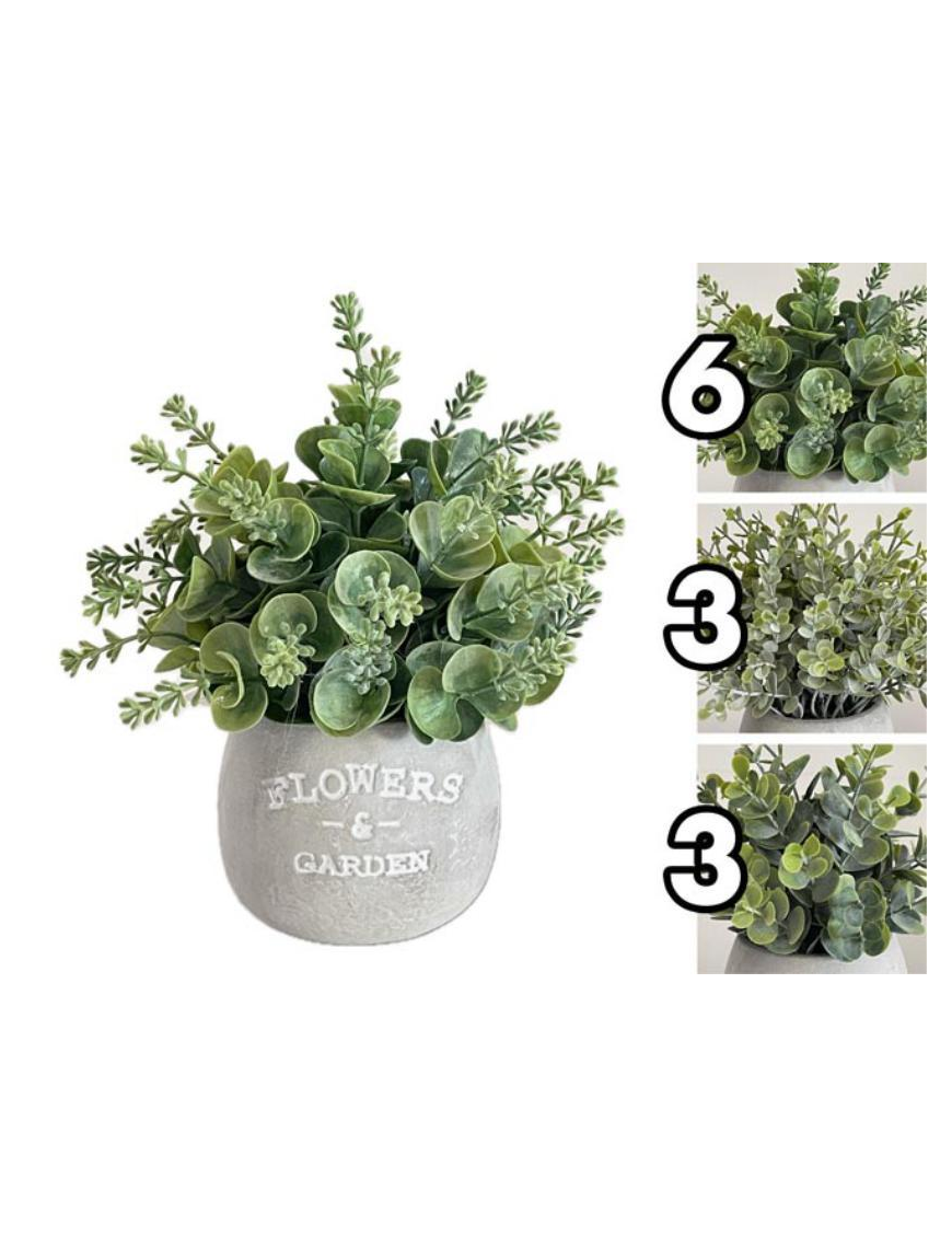 PIANTA GREENERY 20cm