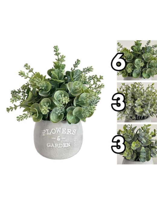 PIANTA GREENERY 20cm