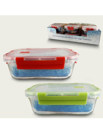RECTANGULAR GLASS CONTAINER 20x14x6 CENTIMETERS