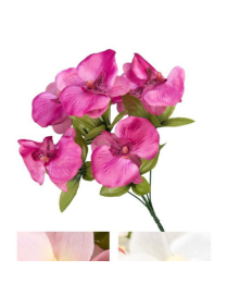 EASY ORCHID BOUQUET 25cm