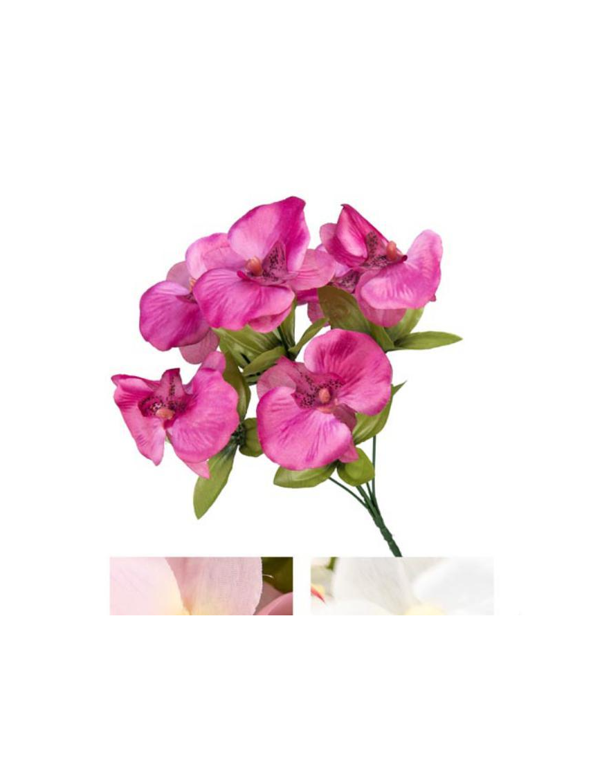 MAZZO ORCHIDEE EASY 25cm