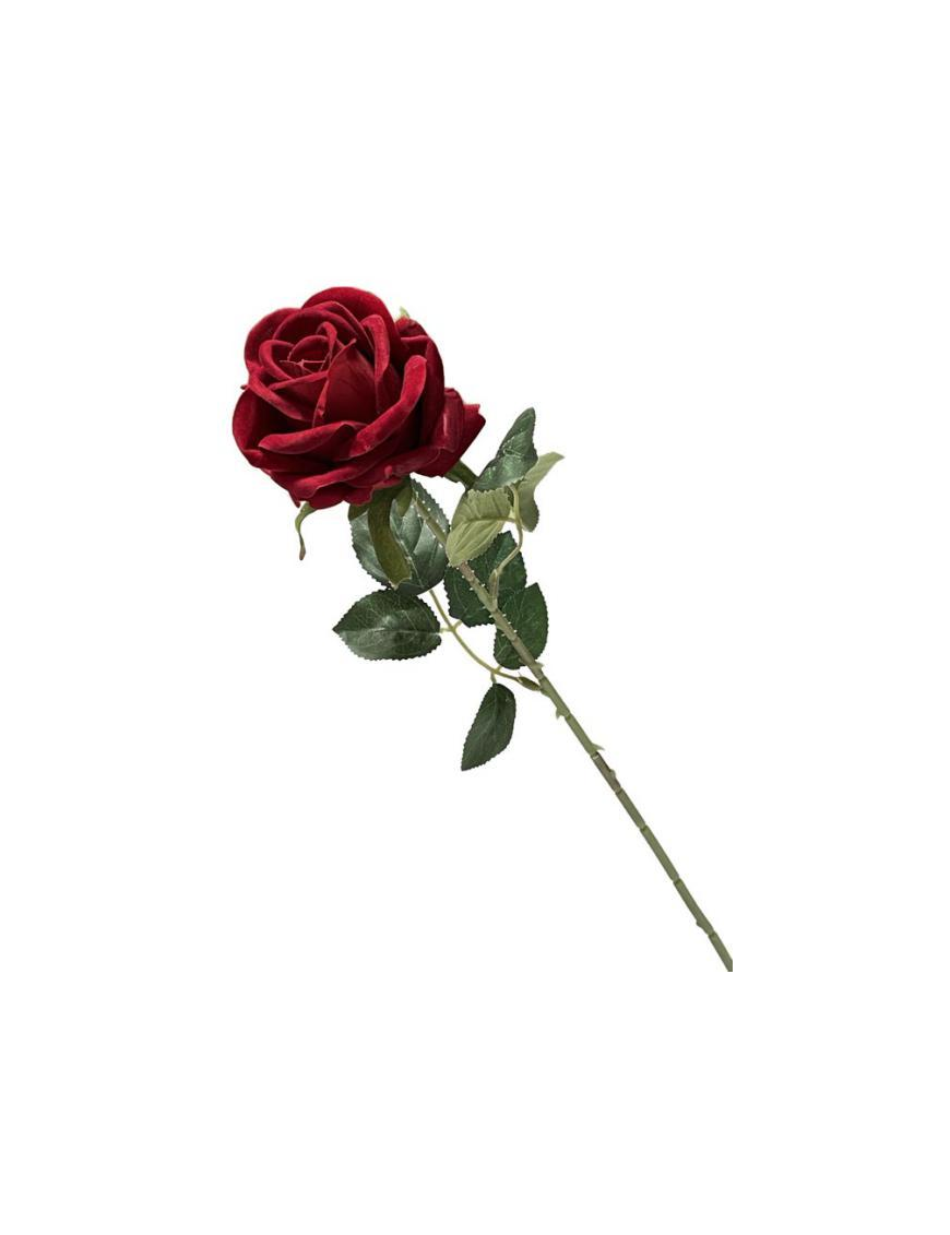 STELO   P. ROSA INGRID 63cm 60506