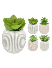 PIANTA GRASSA VASO CEMENTO 9,5cm