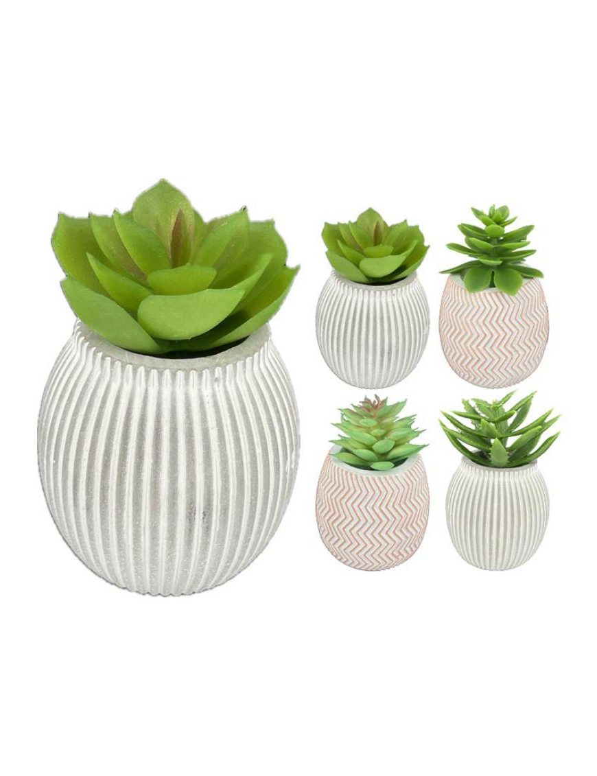 PIANTA GRASSA VASO CEMENTO 9,5cm
