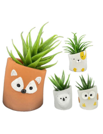 Succulent Plant in Animal Pot 11cm