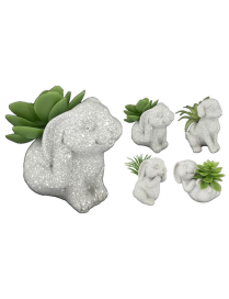 PIANTA GRASSA VASO ANIMALETTO FLUFFY 7cm