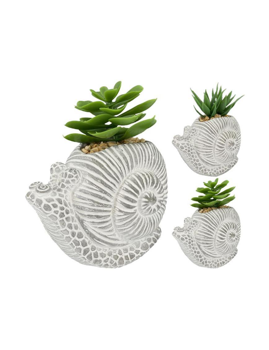 PIANTA GRASSA VASO CHIOCCIOLA 16,5cm