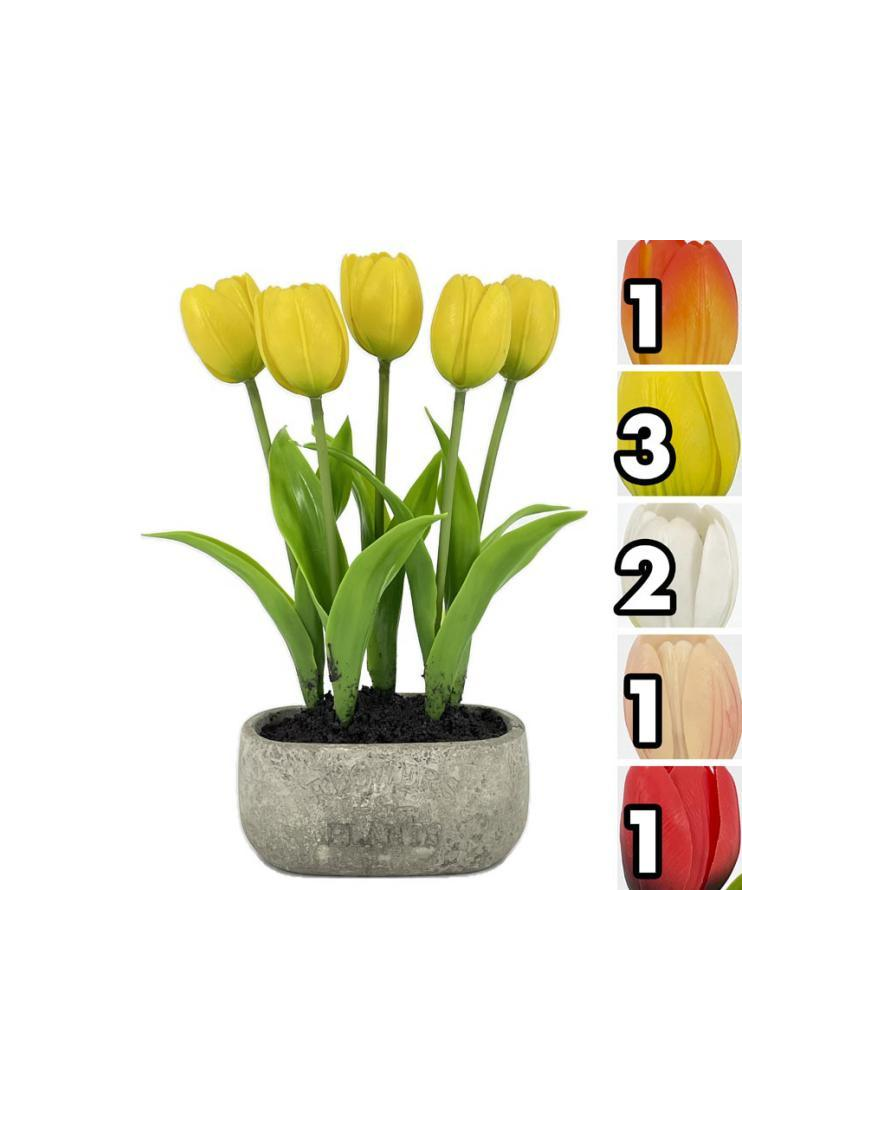 PIANTA TULIPANI REAL TOUCH 27,5m