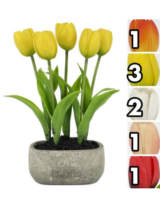 PIANTA TULIPANI REAL TOUCH 27,5m