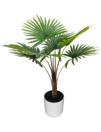 PALM PLANT 60cm