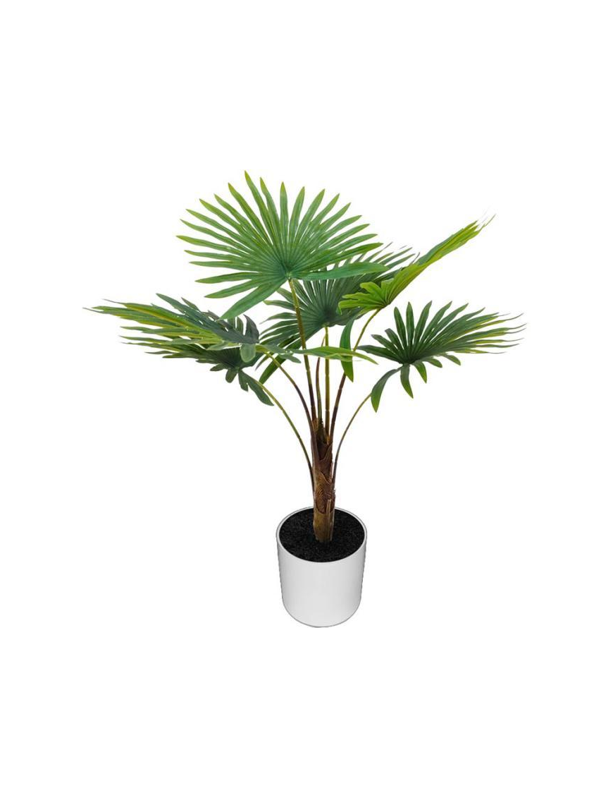 PIANTA PALMA 60cm