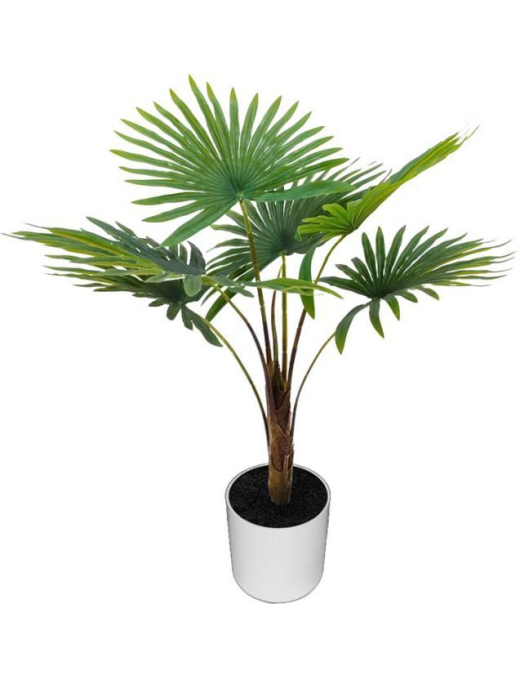 PIANTA PALMA 60cm