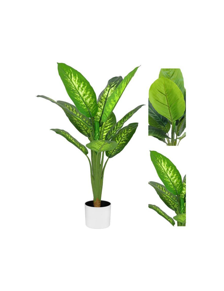 PIANTA  TROPICAL DIEFFENBACHIA  90cm