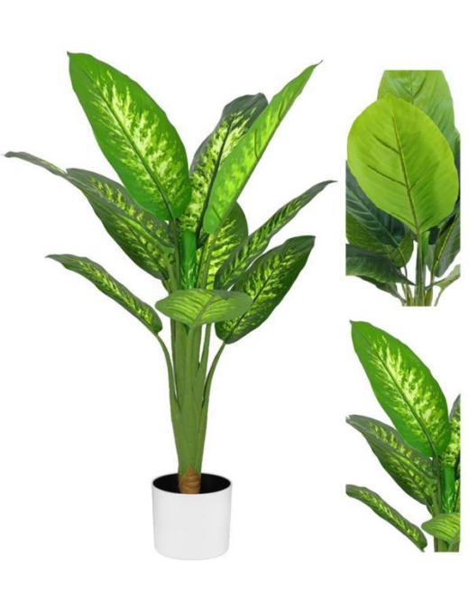 PIANTA  TROPICAL DIEFFENBACHIA  90cm