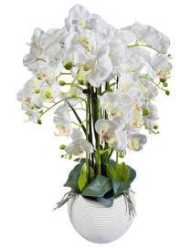 PIANTA ORCHIDEA WHITE POT 63cm