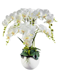 PIANTA ORCHIDEA WHITE POT 75cm