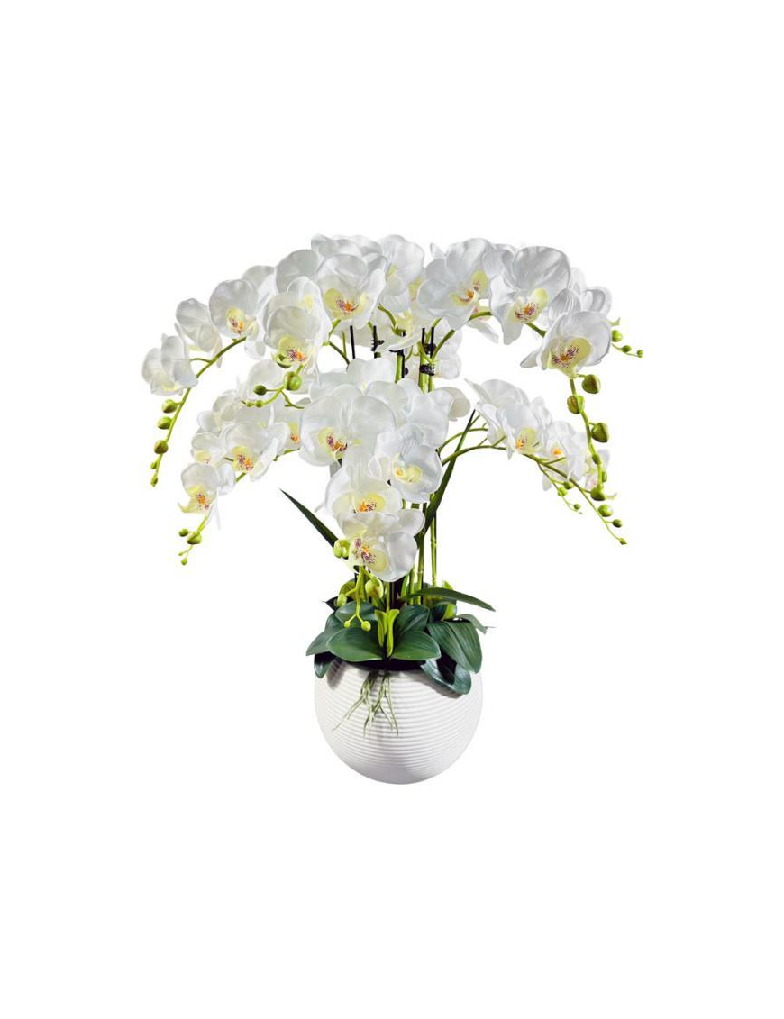 PIANTA ORCHIDEA WHITE POT 75cm