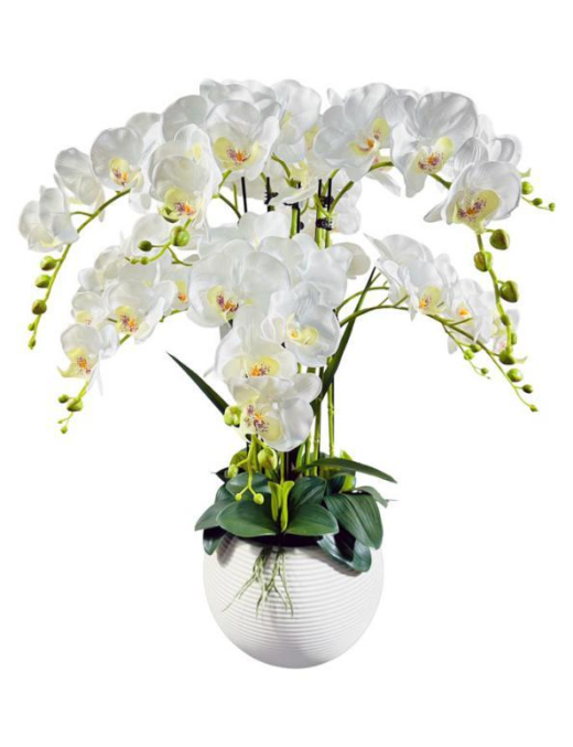 PIANTA ORCHIDEA WHITE POT 75cm