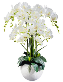 PIANTA ORCHIDEA WHITE POT 90cm