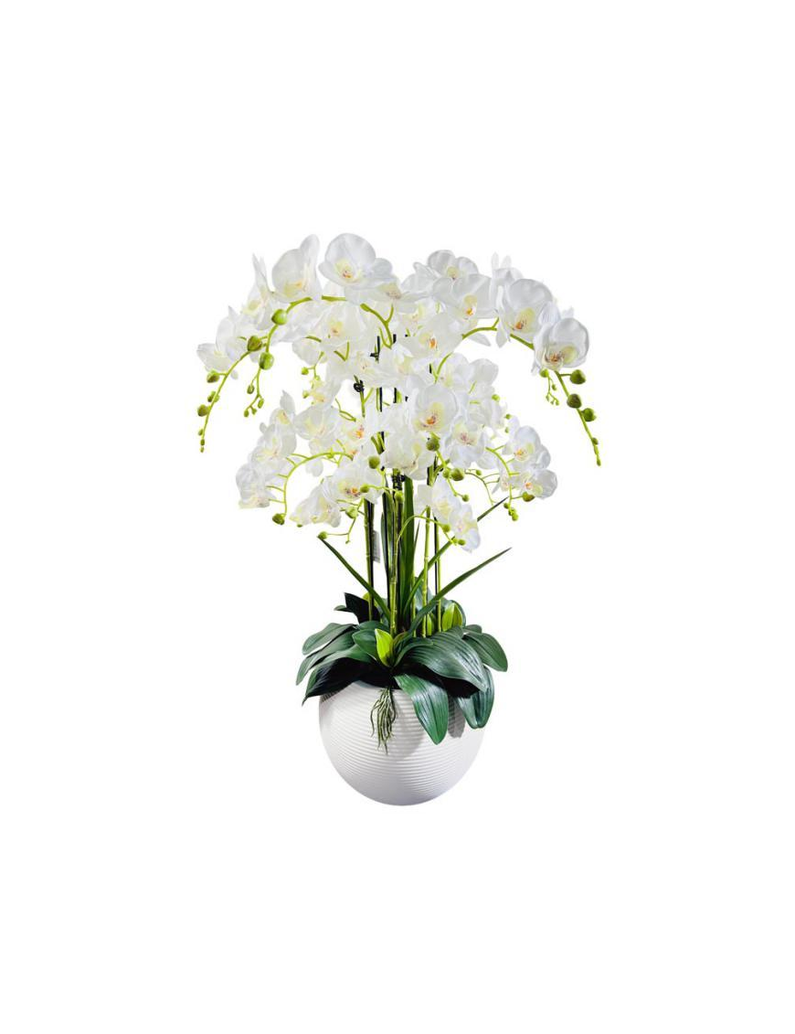 PIANTA ORCHIDEA WHITE POT 90cm