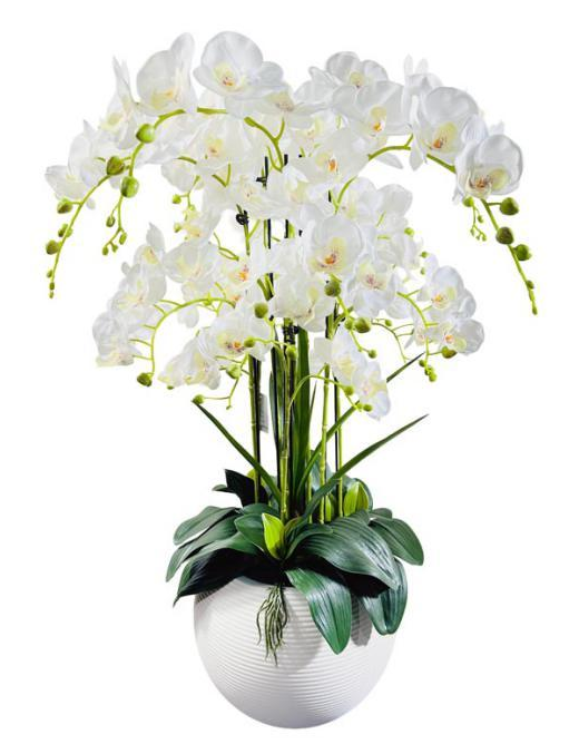 PIANTA ORCHIDEA WHITE POT 90cm