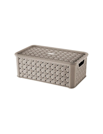 MEDIUM BOX 4lt MOLE