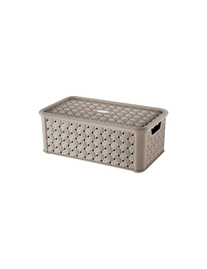 MEDIUM BOX 4lt MOLE