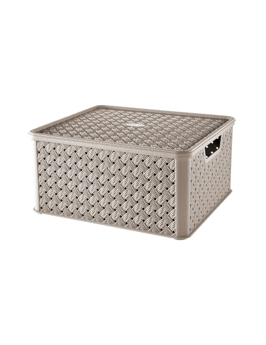LARGE BOX 13lt MOLE
