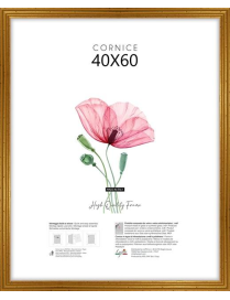 BLITZ FRAME 40x60cm