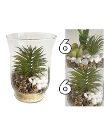 PIANTA GRASSA VASO VETRO 11x15cm