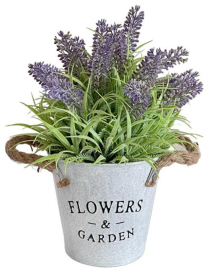 FLOWEReGARDEN LAVENDER PLANT 29cm