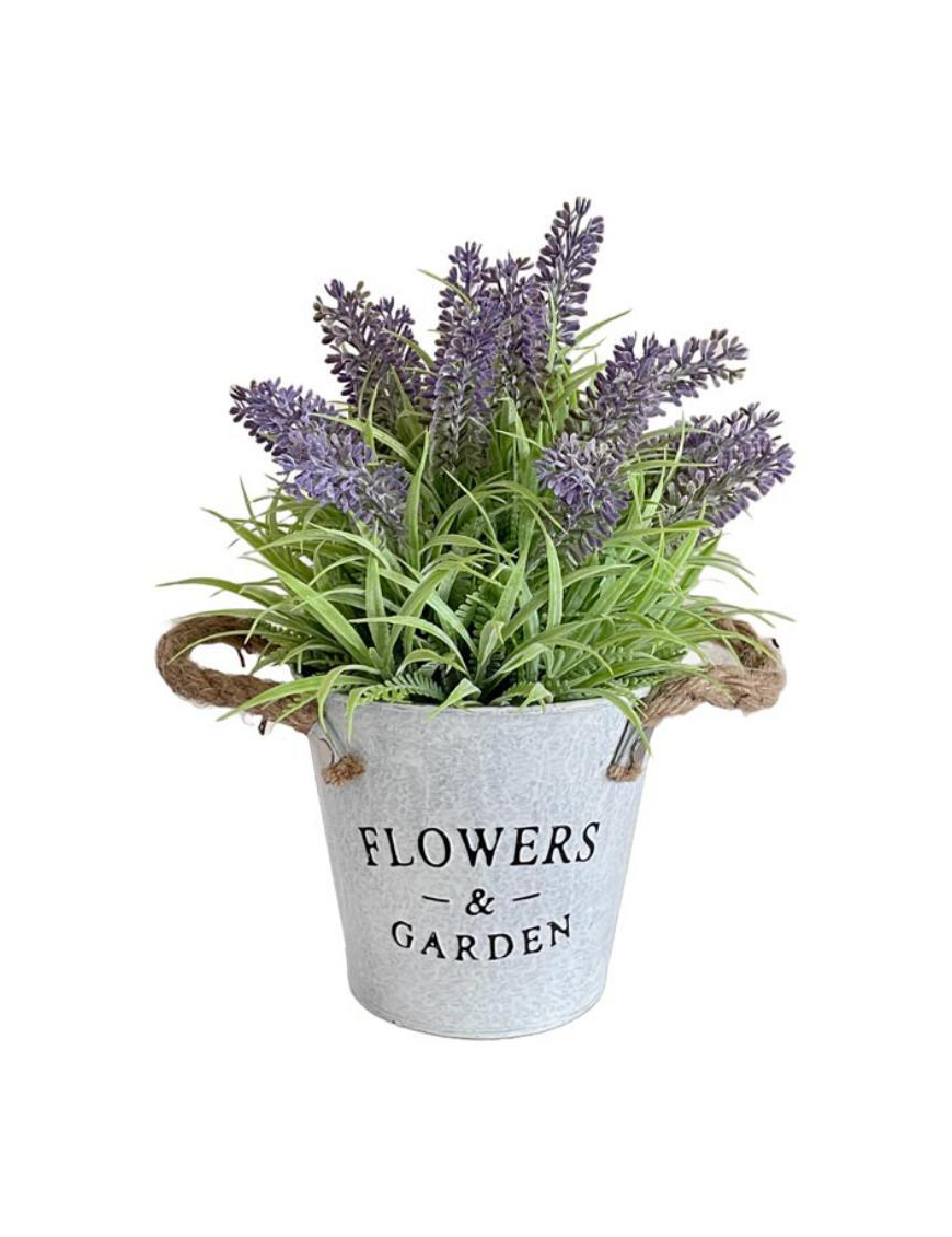 FLOWEReGARDEN LAVENDER PLANT 29cm