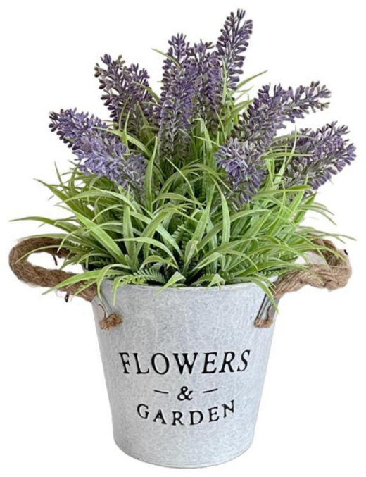 FLOWEReGARDEN LAVENDER PLANT 29cm