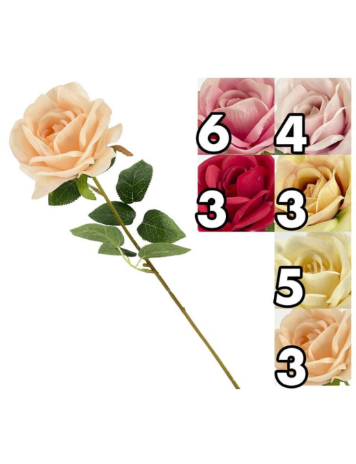 DUCHESS ROSE STEM 60cm