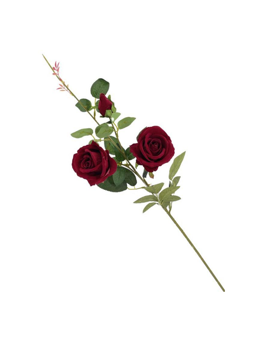 STELO ROSA RED VELVET 90cm