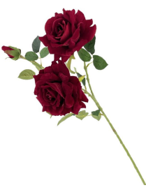 STELO ROSA RED VELVET 82cm
