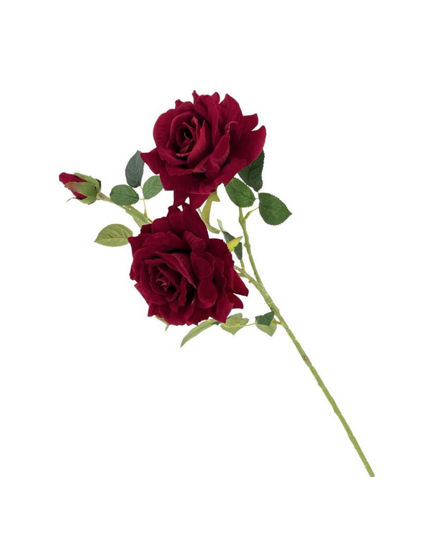 STELO ROSA RED VELVET 82cm
