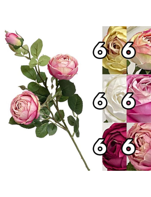 STELO PEONIA ELEGANT 75cm