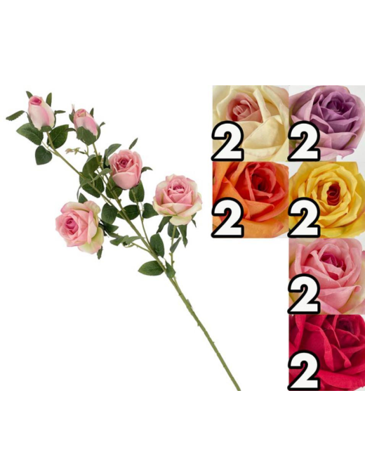 STELO ROSE-BOCCIOLI 90cm