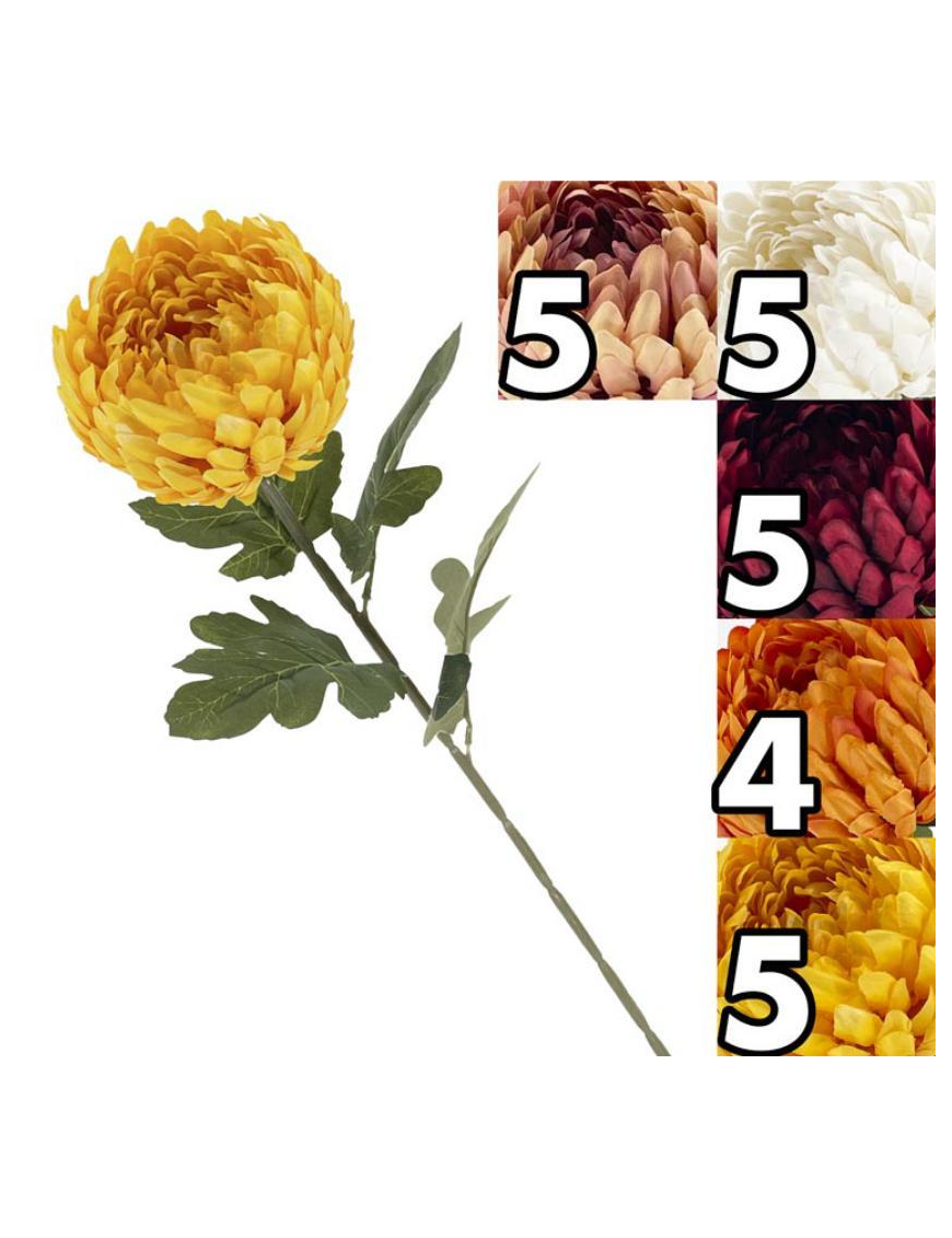 ROYAL CHRYSANTHEMUM STEM 75cm