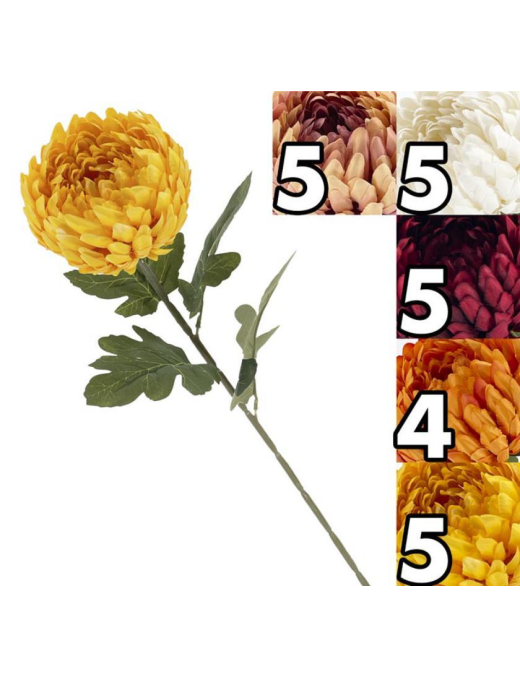 ROYAL CHRYSANTHEMUM STEM 75cm