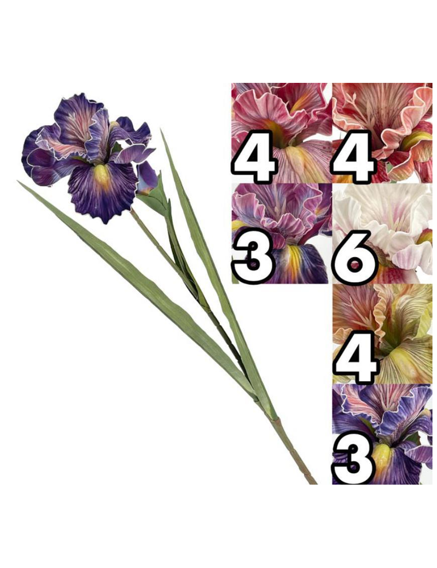 STELO IRIS BIG FLOWER 85cm