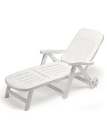 WHITE COT CALIFORNIA