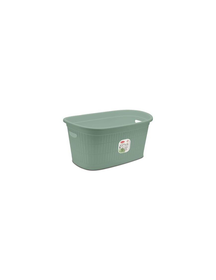 L.DOMUS CESTA 35lt 58x38x28 GREEN TEA
