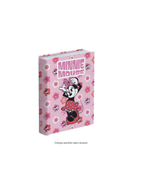 MINNIE DIARIO 10 MESI
