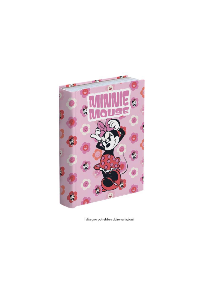 MINNIE DIARIO 10 MESI