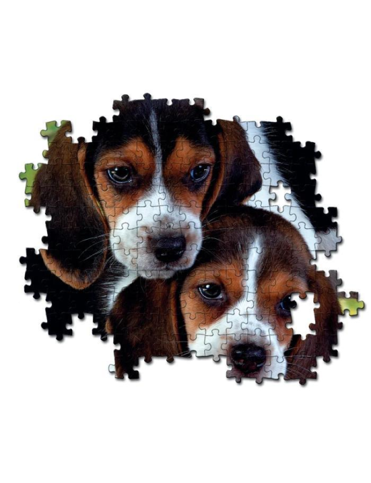 PUZZLE 500 PIECES. CLOSE TOGETHER